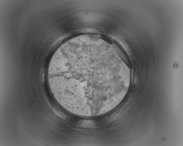 X0000094450157200712061208