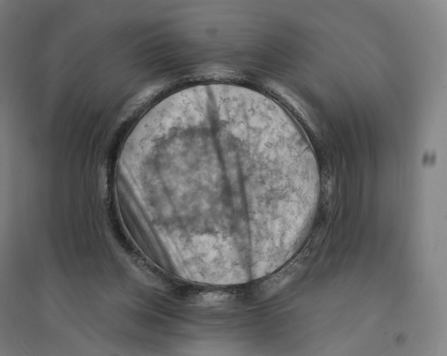 X0000094450158200712061208