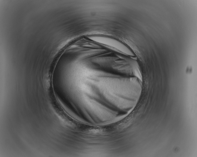 X0000094450160200712061208