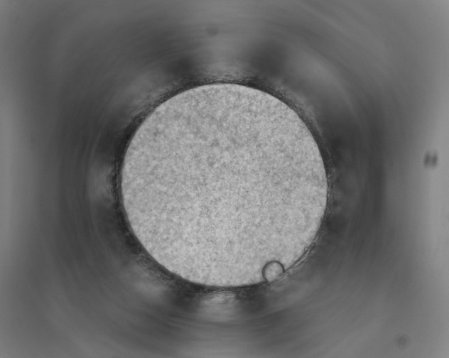 X0000094450162200712061208