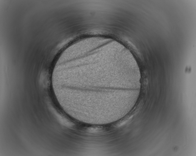 X0000094450164200712061208