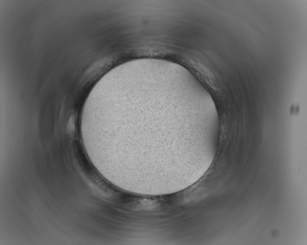 X0000094450166200712061208