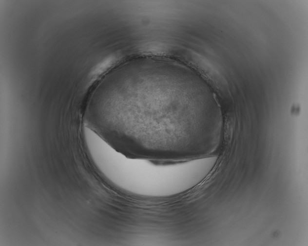 X0000094450168200712061208