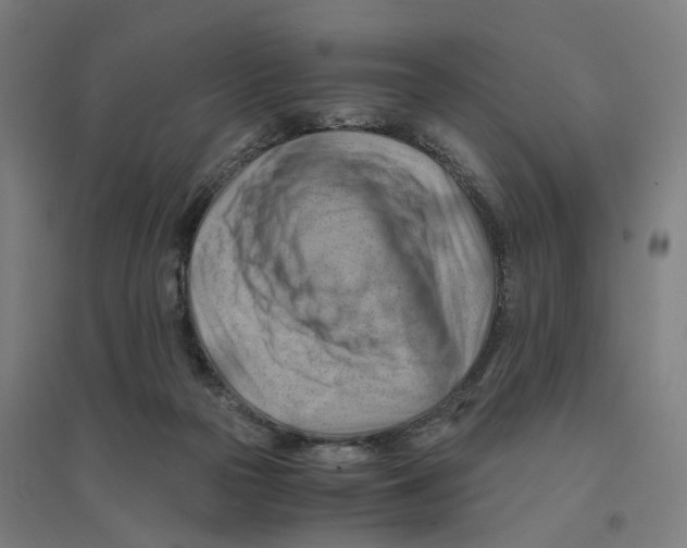 X0000094450169200712061208