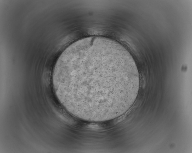 X0000094450171200712061208