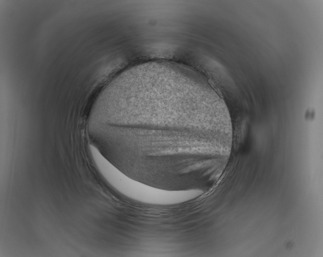 X0000094450172200712061208