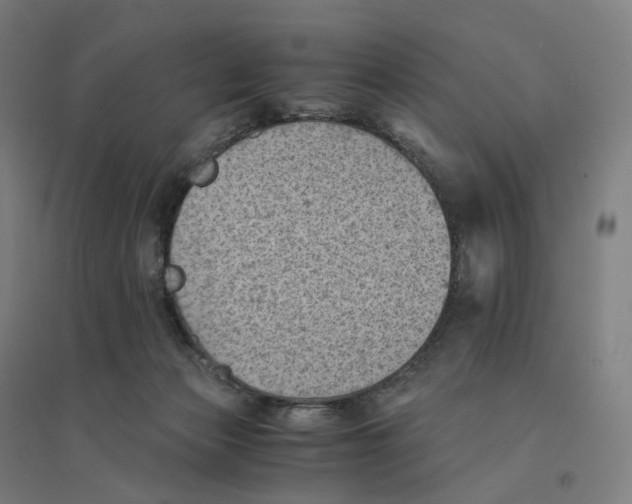 X0000094450173200712061208