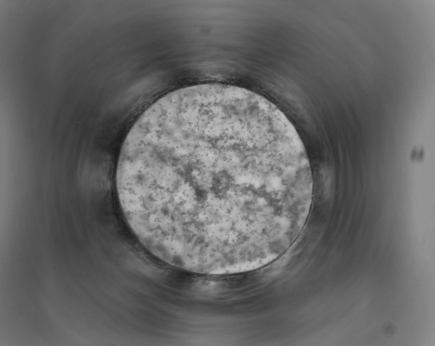 X0000094450174200712061208