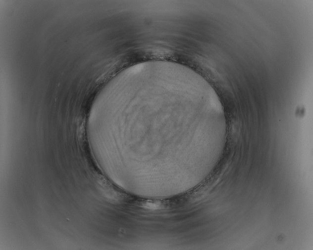 X0000094450177200712061208