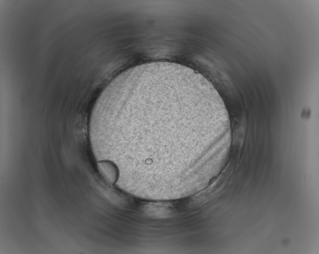 X0000094450179200712061208