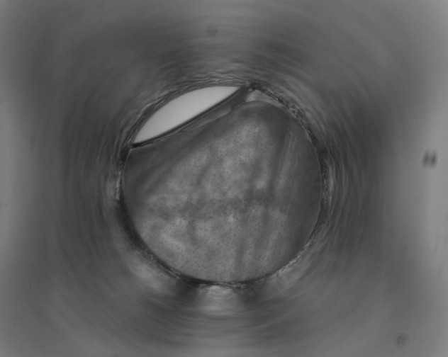 X0000094450180200712061208