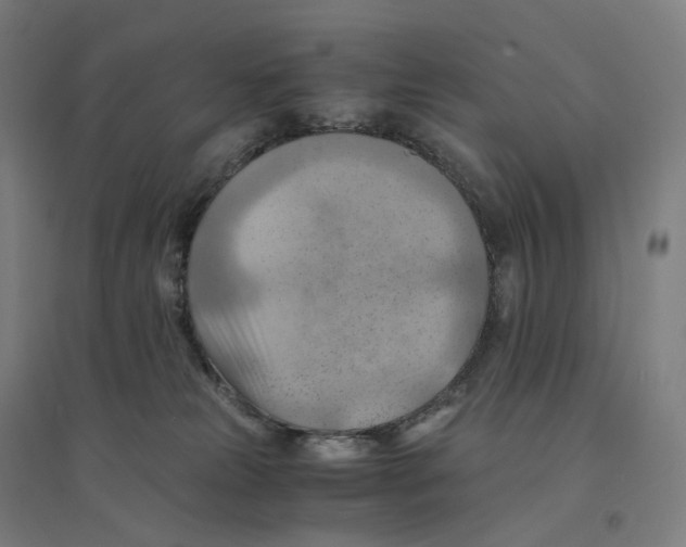 X0000094450181200712061208