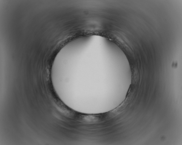 X0000094450183200712061208