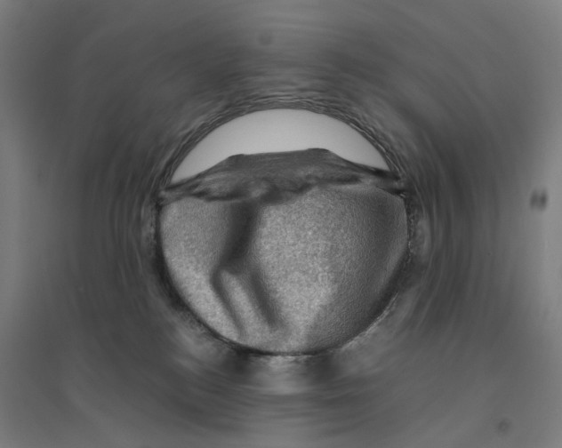 X0000094450184200712061208