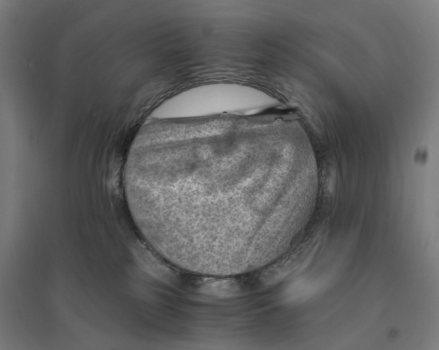 X0000094450185200712061208