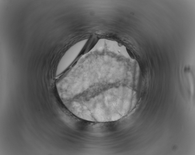 X0000094450186200712061208