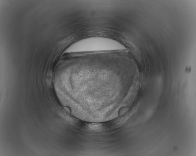 X0000094450189200712061208