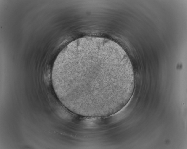 X0000094450190200712061208