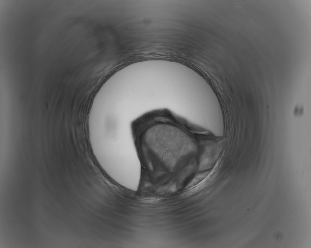 X0000094450192200712061208