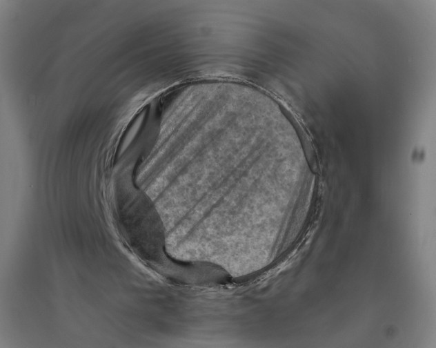 X0000094450193200712061208