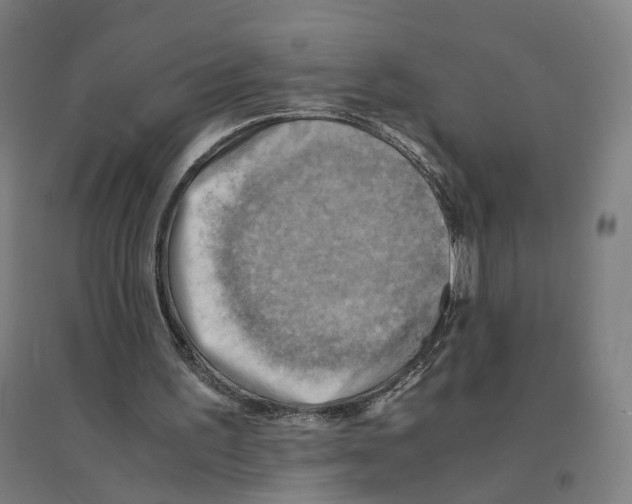 X0000094450195200712061208