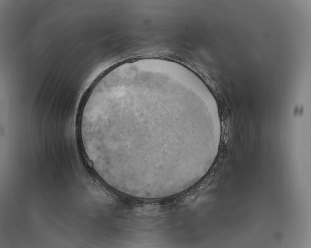 X0000094450196200712061208