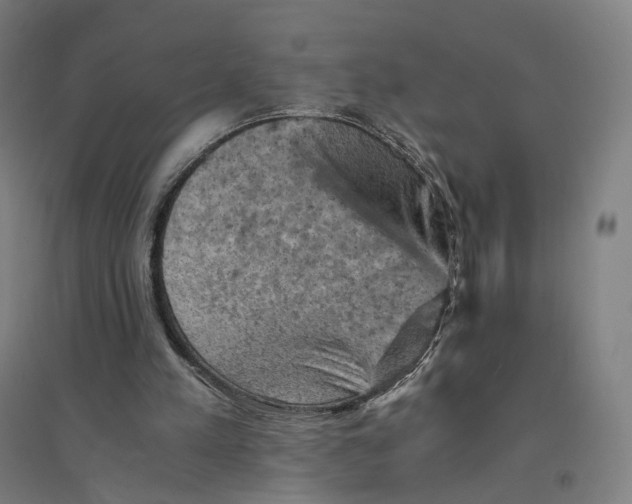 X0000094450197200712061208