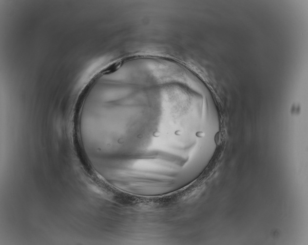 X0000094450199200712061208