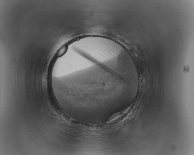 X0000094450200200712061208