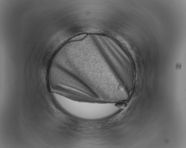 X0000094450201200712061208