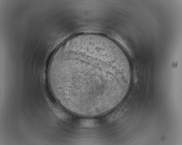 X0000094450202200712061208