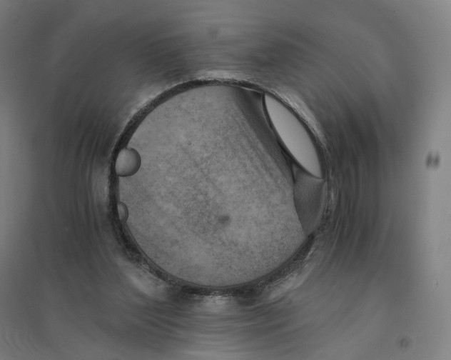 X0000094450204200712061208