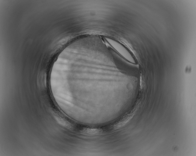 X0000094450205200712061208