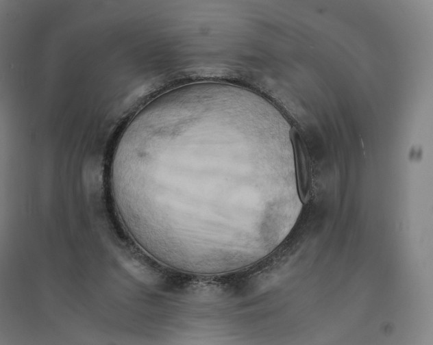 X0000094450207200712061207