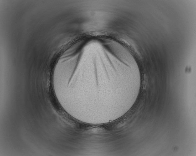 X0000094450210200712061207