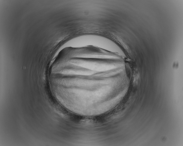 X0000094450211200712061207