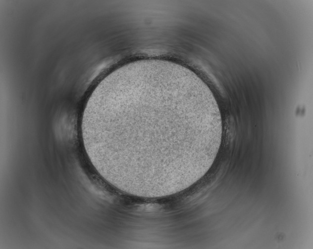 X0000094450212200712061207