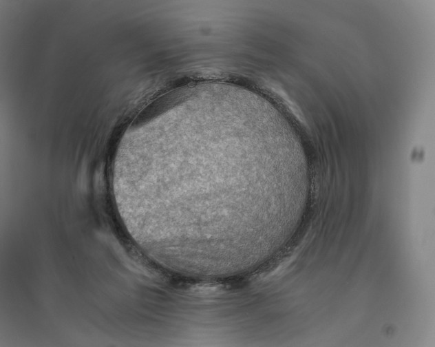 X0000094450213200712061207