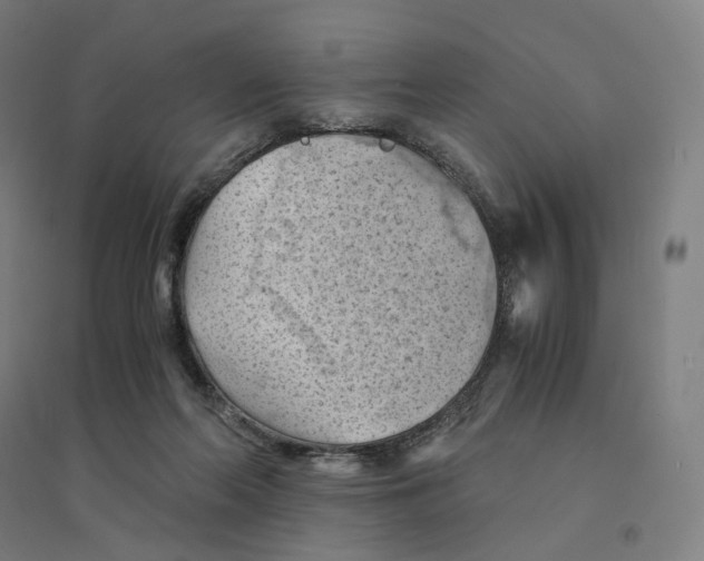 X0000094450214200712061207