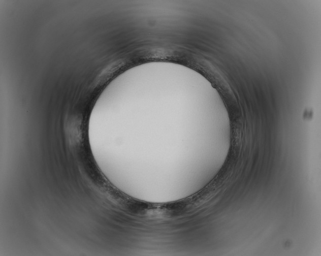 X0000094450216200712061207