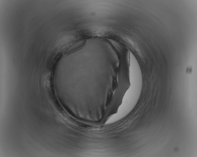 X0000094450217200712061207