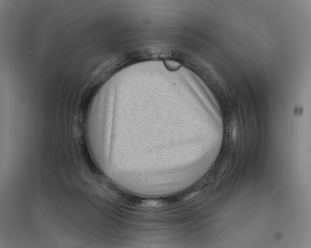 X0000094450218200712061207