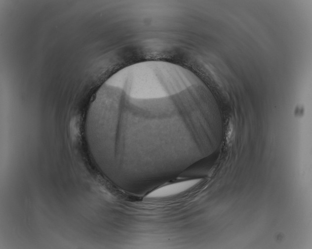 X0000094450219200712061207