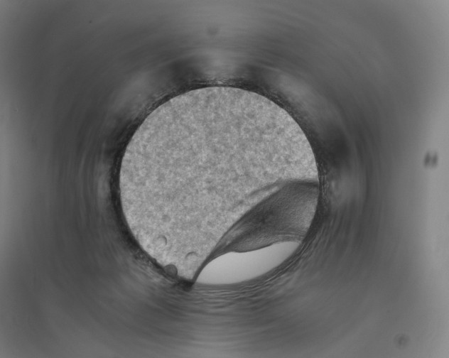 X0000094450221200712061207