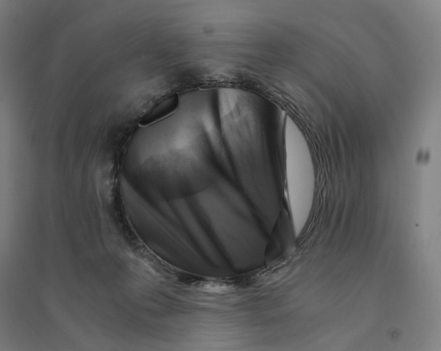 X0000094450223200712061207