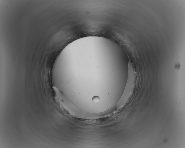 X0000094450225200712061207