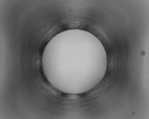 X0000094450226200712061207