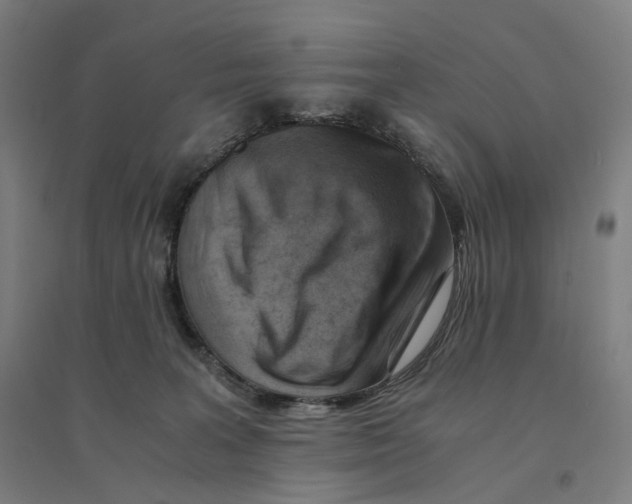 X0000094450227200712061207