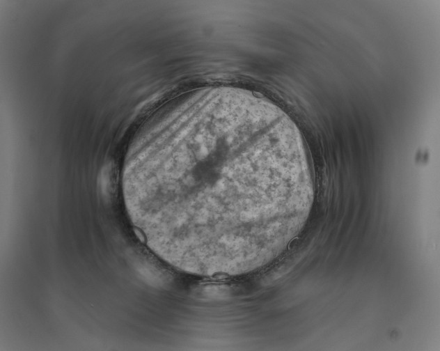 X0000094450228200712061207