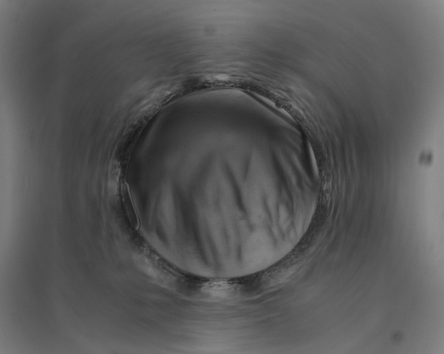 X0000094450231200712061207